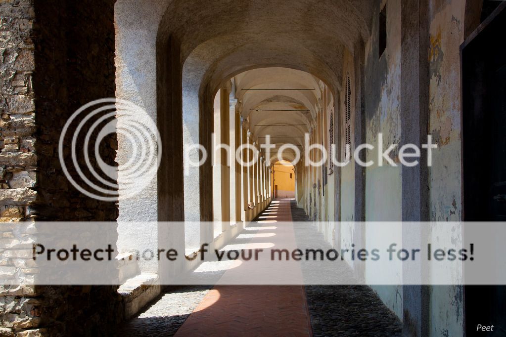 Fotografie