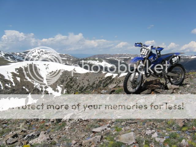 Posted Image