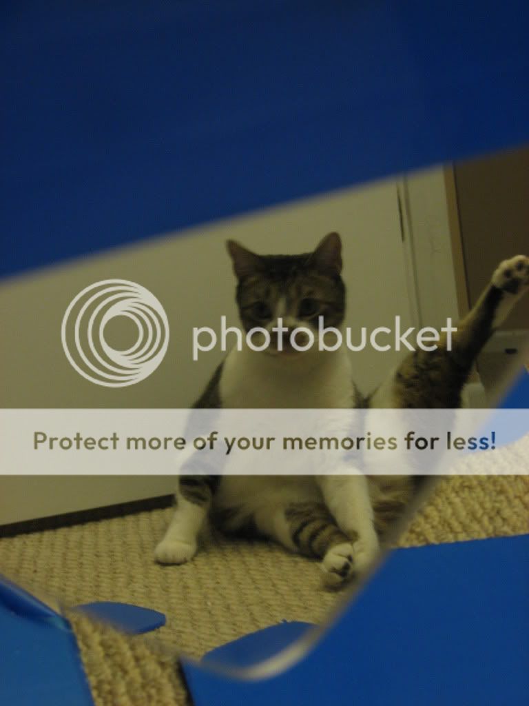 Photobucket