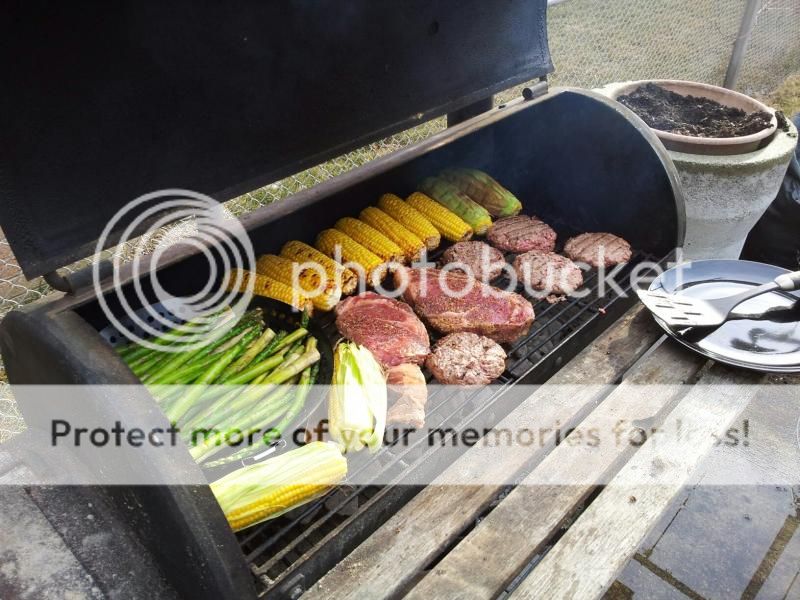 grill_zpsb5c77b8b.jpg