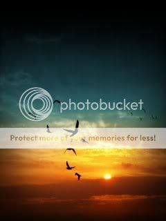 sunset Pictures, Images and Photos