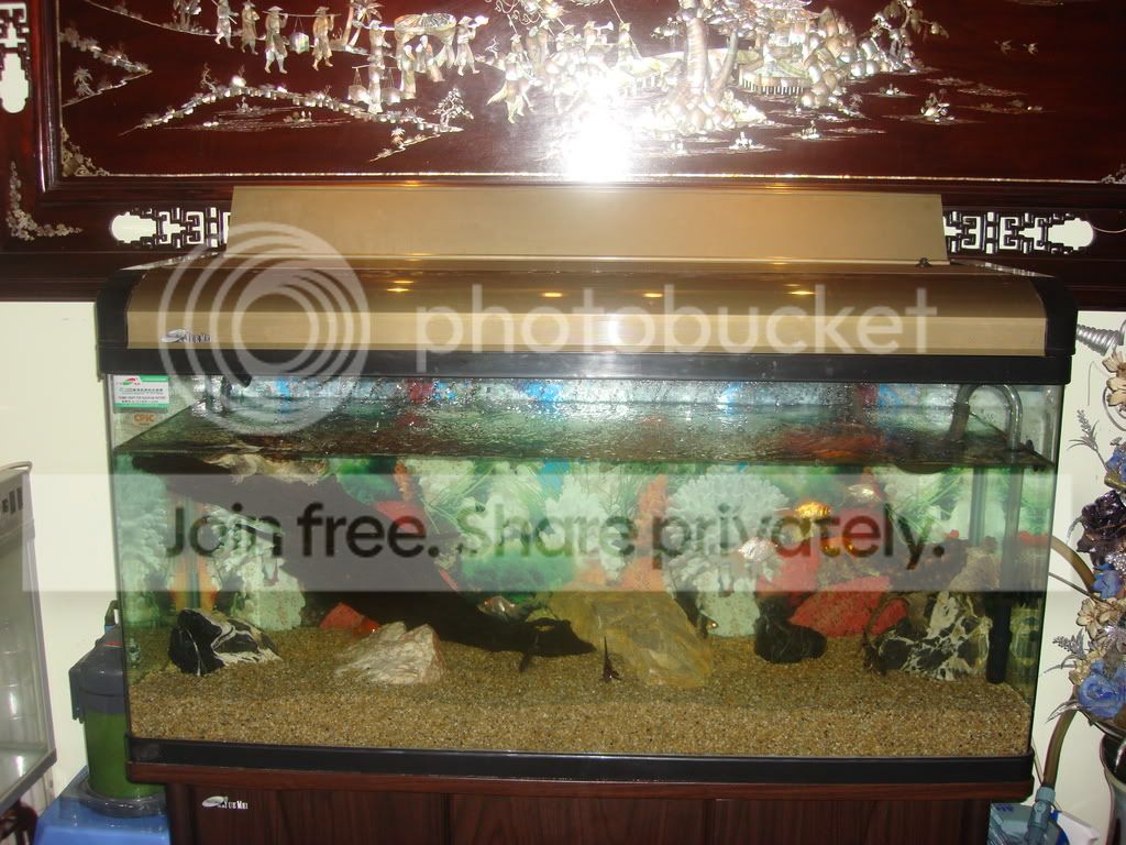MonsterFishKeepers.com